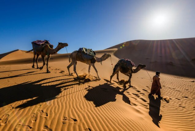 2 Day Marrakech To Erg Lihoudi Desert Camp Tour